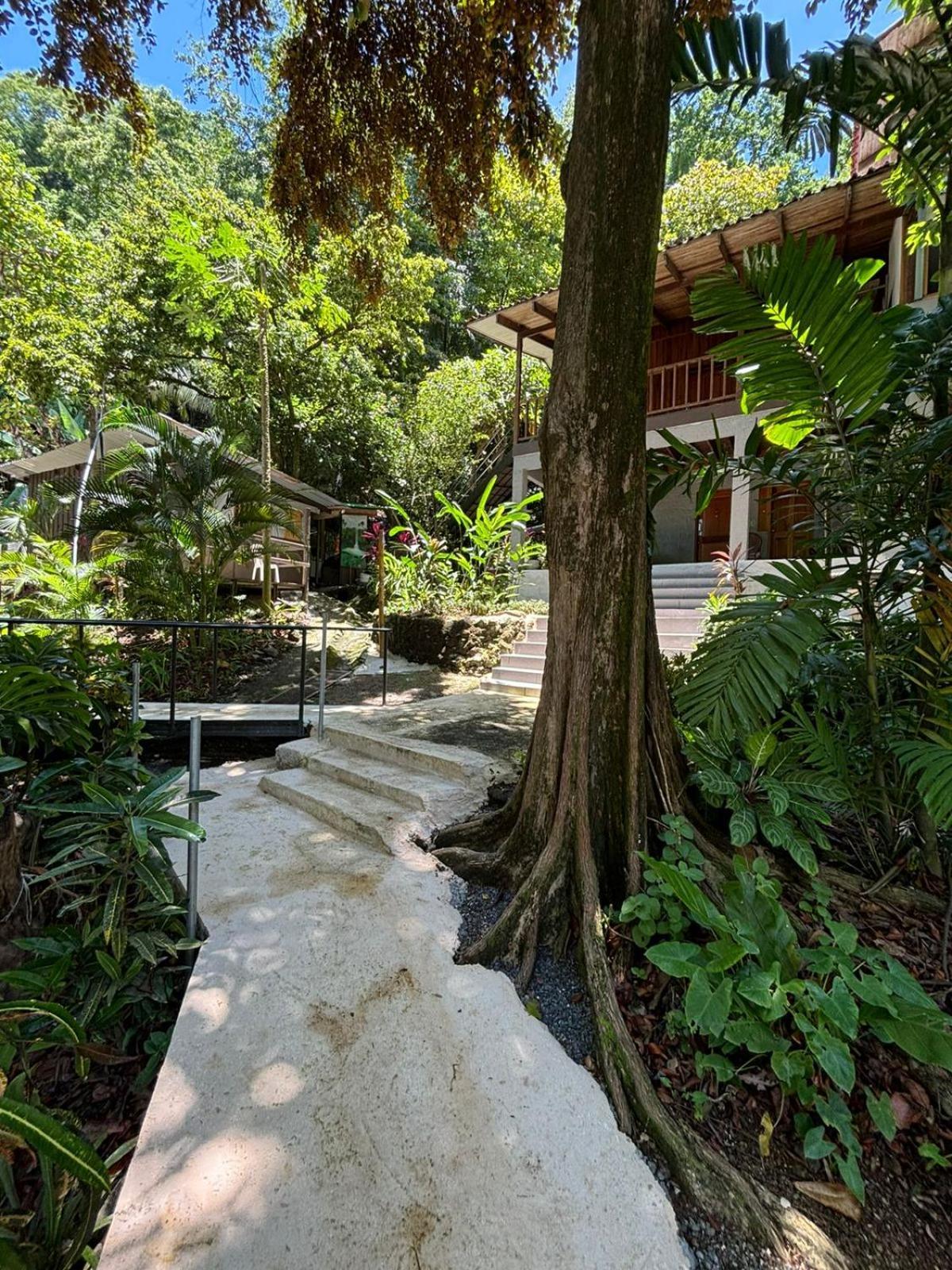 Appartement Casa Susen à Montezuma Extérieur photo